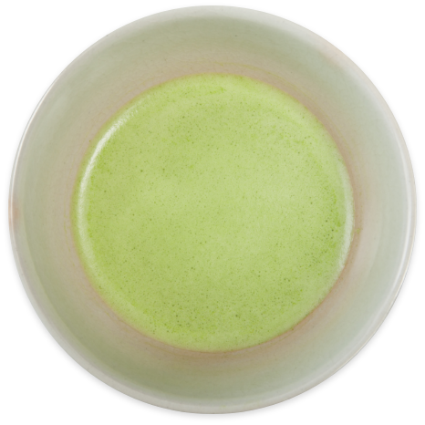 抹茶 - MATCHA