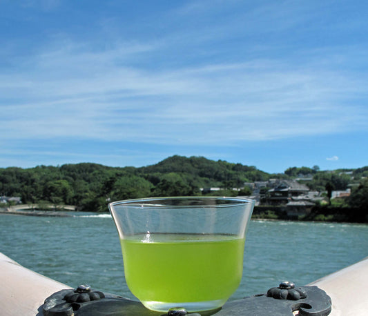 夏の緑茶　水出し用